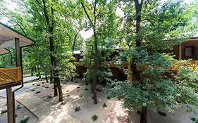 База отдыха Дубки